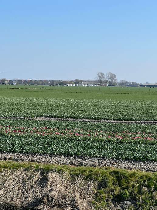 Een foto toegevoegd aan een locatie