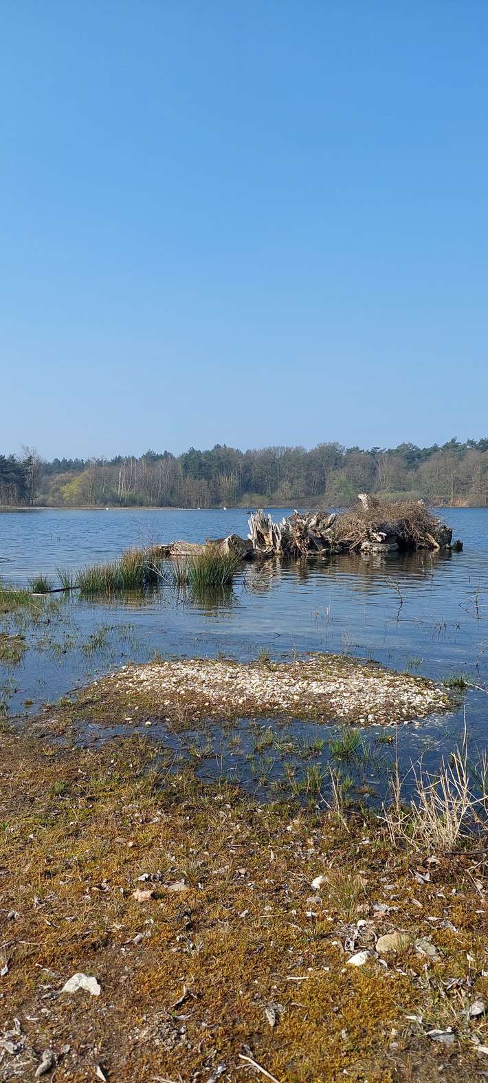 Landal Camping Klein Vink