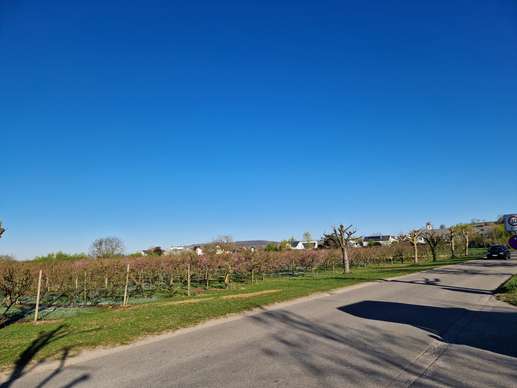 Added a photo to a location