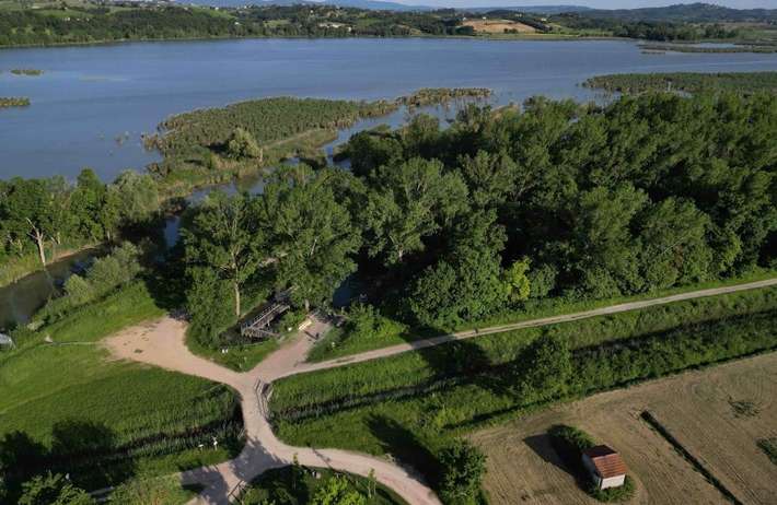 Riserva naturale regionale lago di Montepulciano