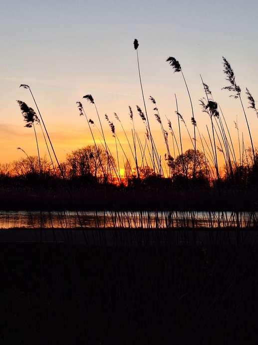 Een foto toegevoegd aan een locatie