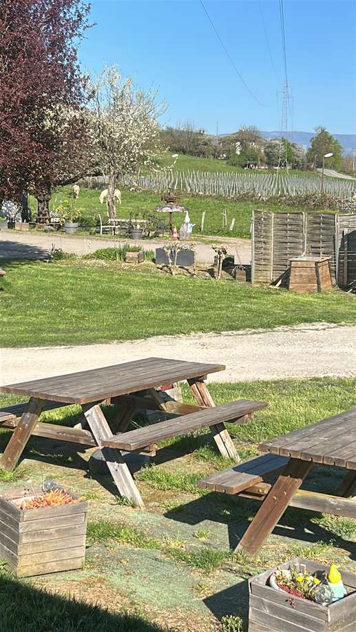 Einem Ort wurde ein Foto hinzugefügt