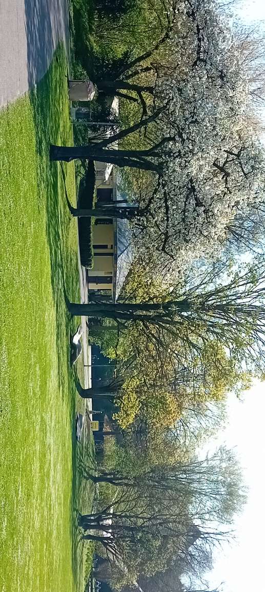 Einem Ort wurde ein Foto hinzugefügt