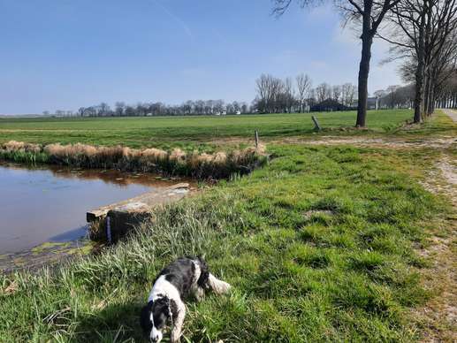 Einem Ort wurde ein Foto hinzugefügt