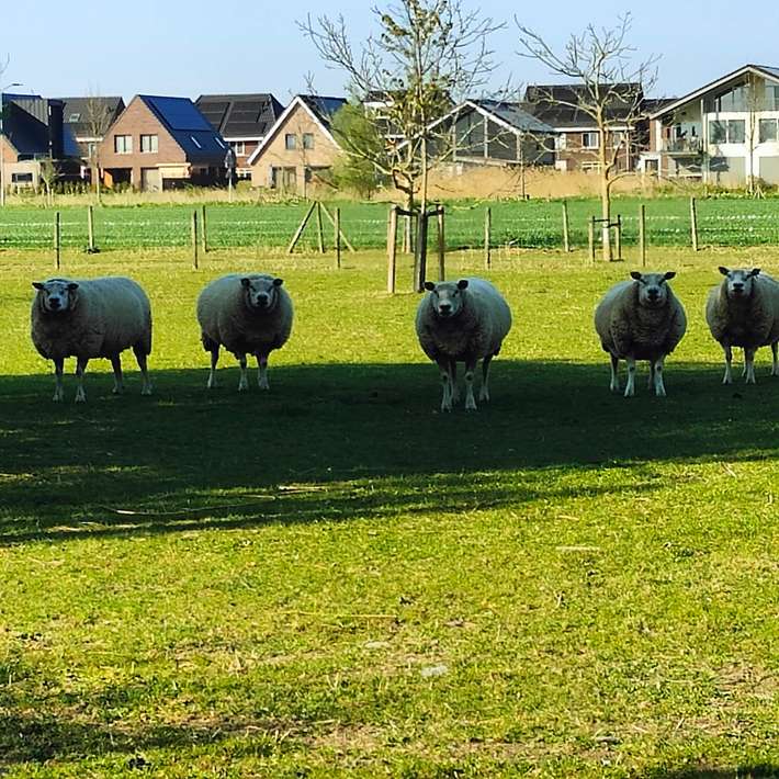 Camping t Weeltje