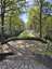 Naturisten Camping Athena Ossendrecht - Photo 2