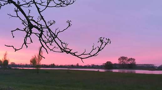 Een foto toegevoegd aan een locatie