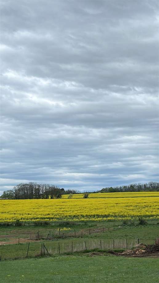 Added a photo to a location