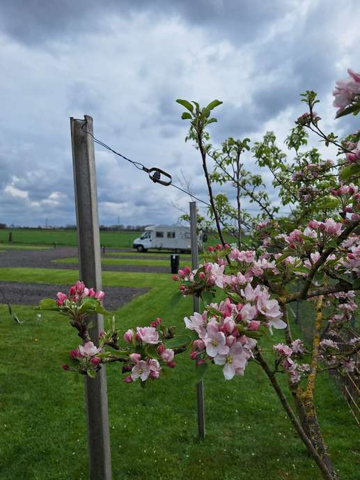 Een foto toegevoegd aan een locatie