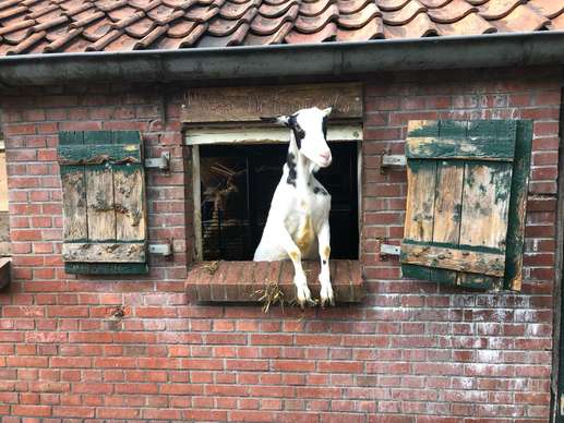 Einem Ort wurde ein Foto hinzugefügt