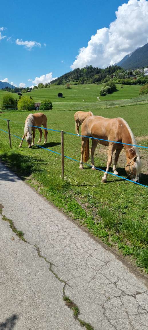 Een foto toegevoegd aan een locatie