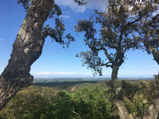 Een foto toegevoegd aan een locatie