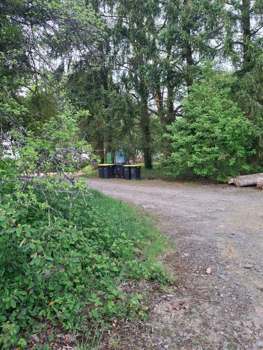 Added a photo to a location