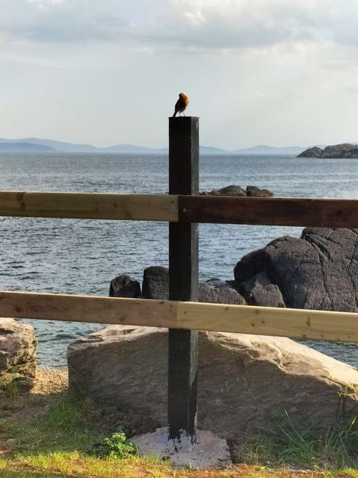 Aggiunta una foto a una posizione