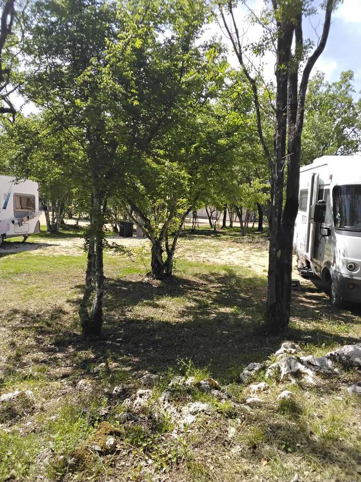Auto Camp Ante