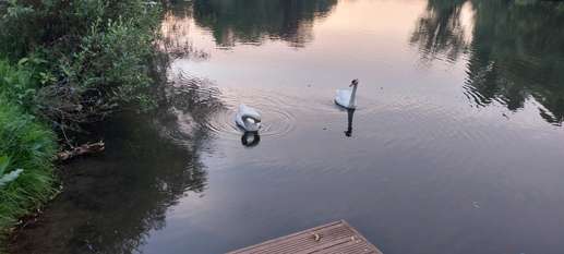 Added a photo to a location