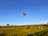 Hoeve De Brieser