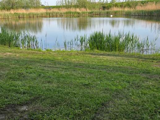 Een foto toegevoegd aan een locatie