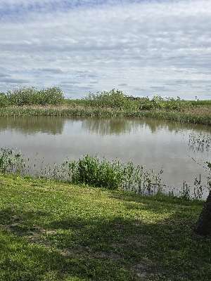 Een foto toegevoegd aan een locatie