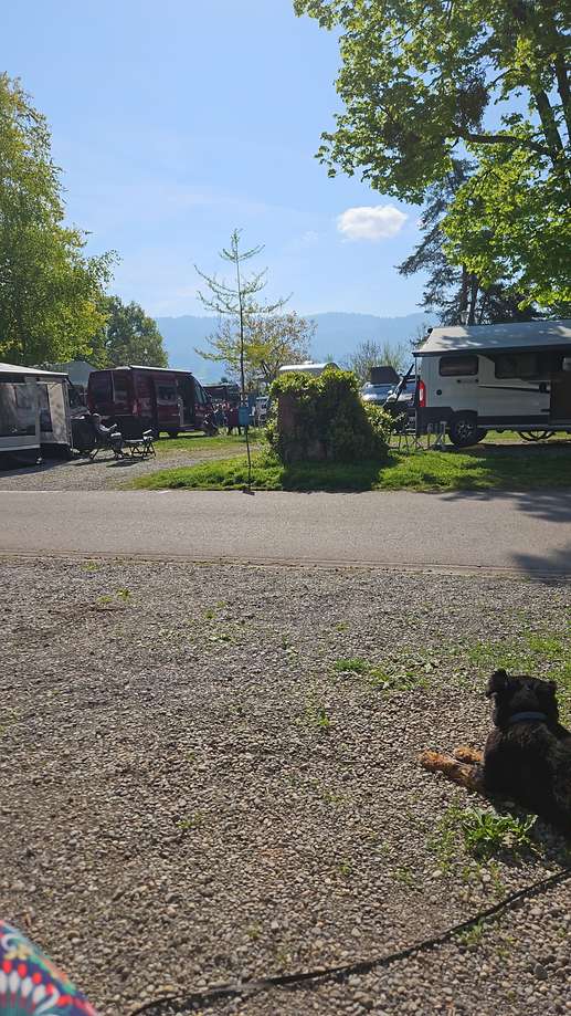 Einem Ort wurde ein Foto hinzugefügt