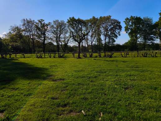 Een foto toegevoegd aan een locatie