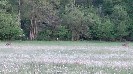 Added a photo to a location