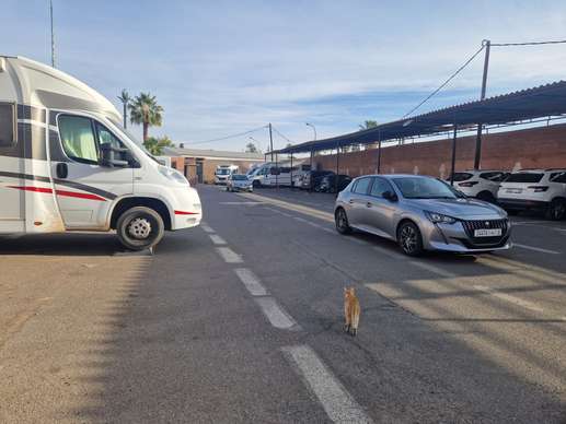 Aggiunta una foto a una posizione