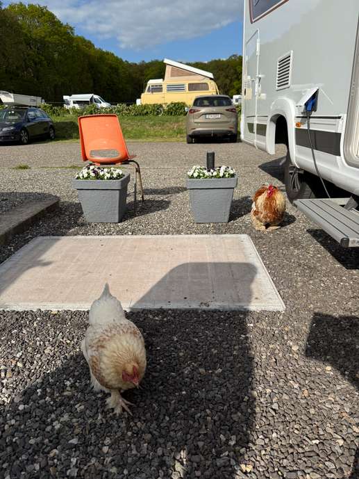 Ajout d'une photo à un emplacement