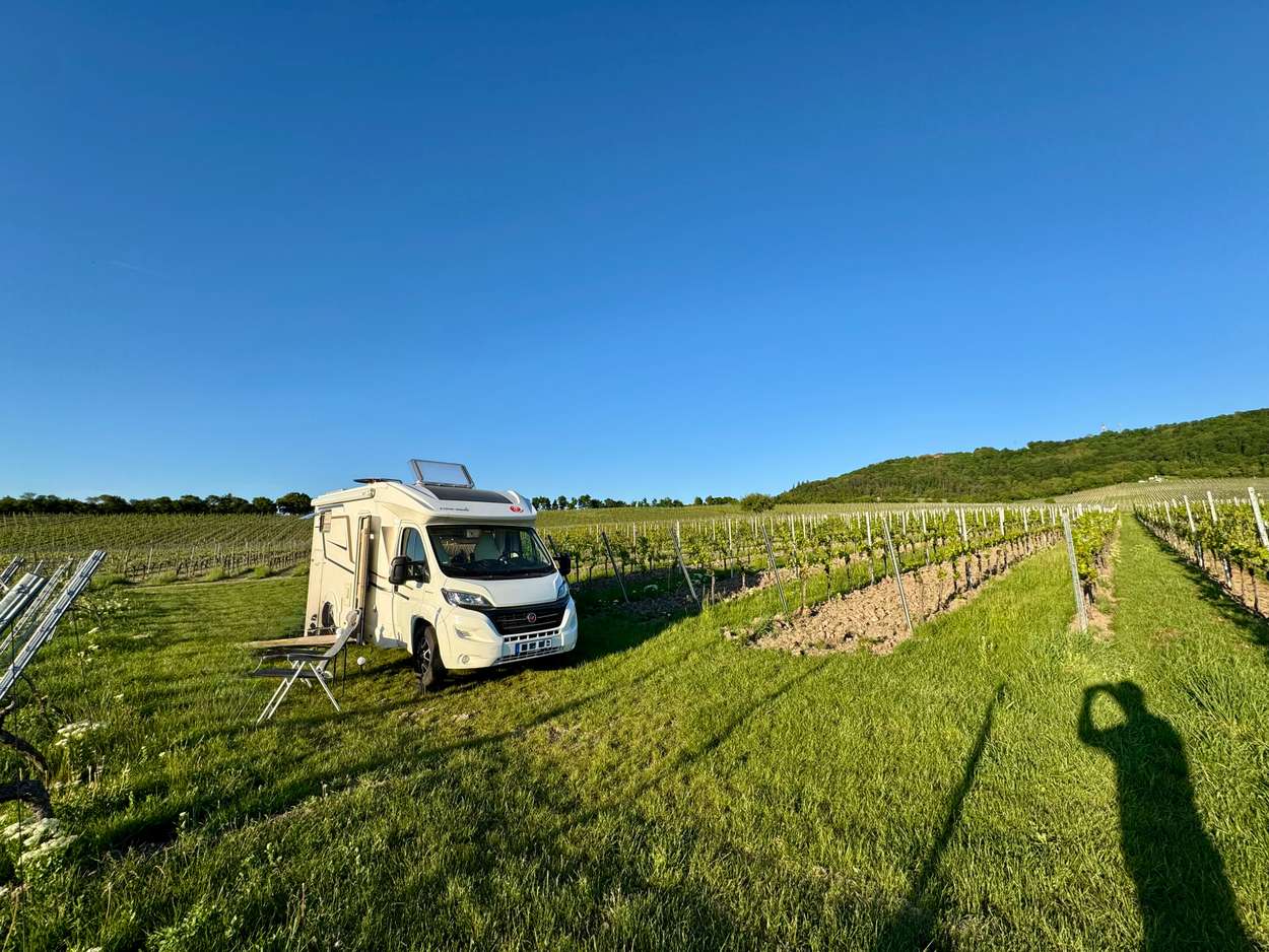 Stellplatz Weingut Karl Meyer