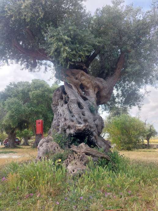 Added a photo to a location