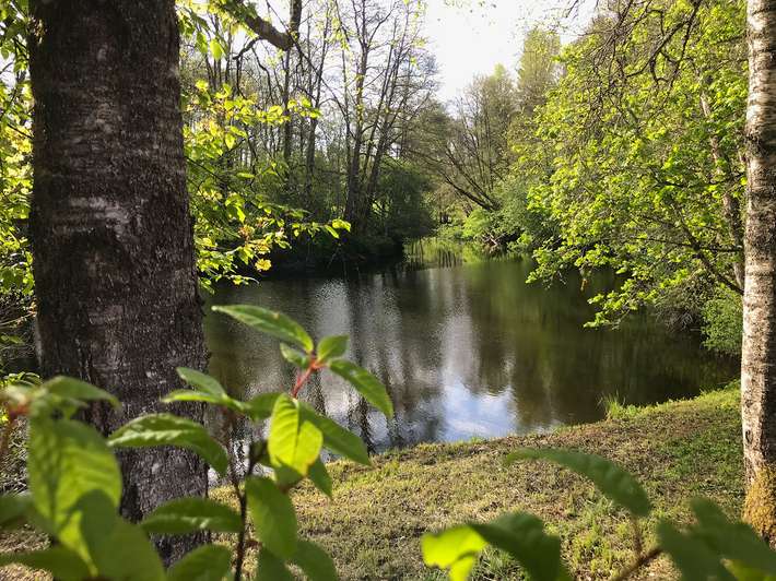 Ställplats 154