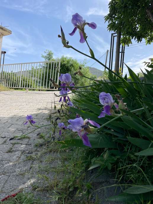 Een foto toegevoegd aan een locatie