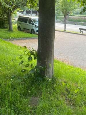 Added a photo to a location