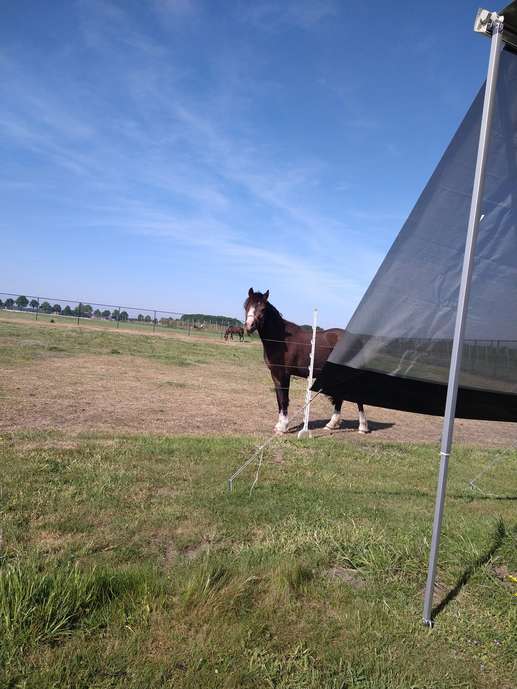 Een foto toegevoegd aan een locatie