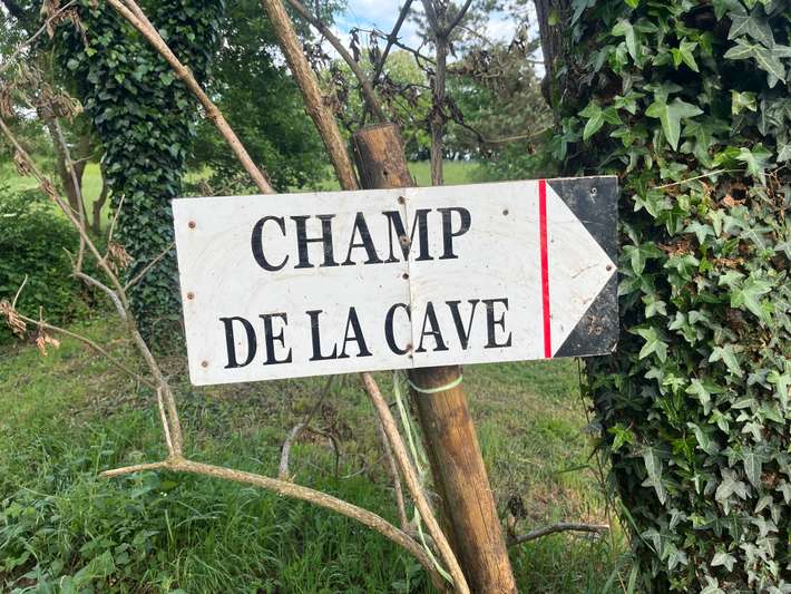 Champ De La Cave
