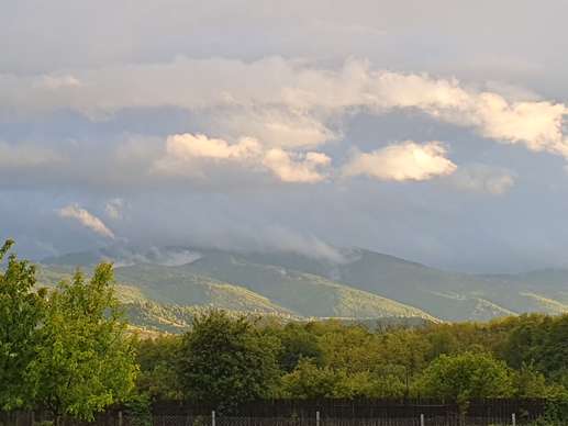 Added a photo to a location