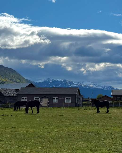 Een foto toegevoegd aan een locatie