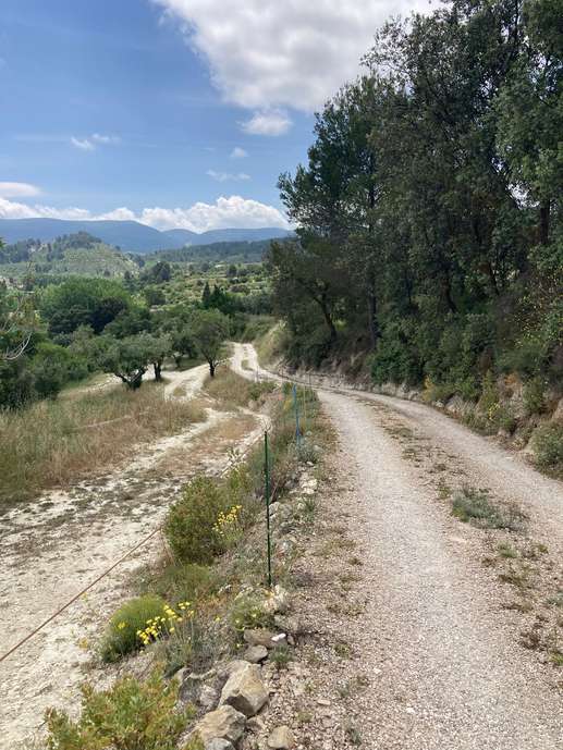Añadió una foto a una ubicación