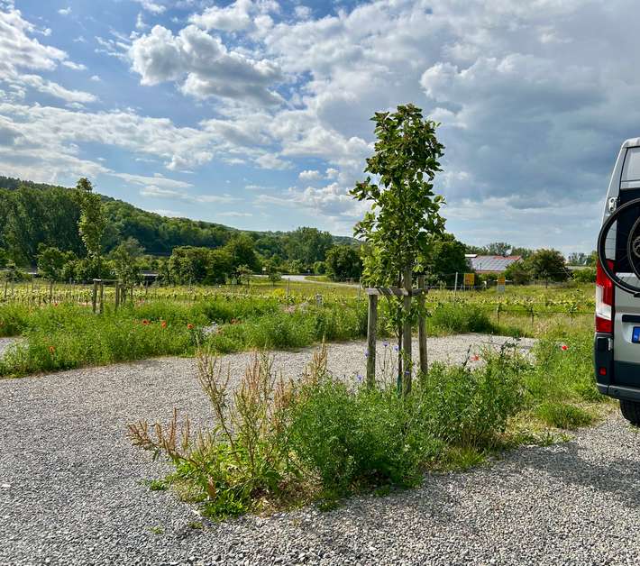 Steinmanns Töchter Wohnmobilstellplatz