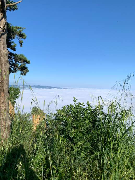 Aggiunta una foto a una posizione