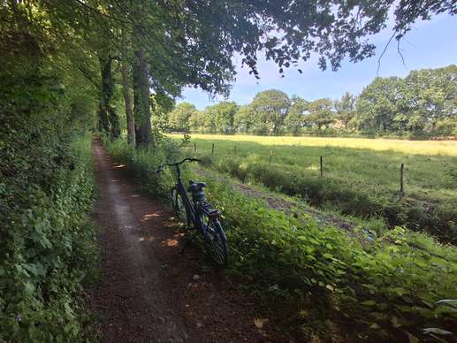 Een foto toegevoegd aan een locatie