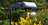 Camping Les Pialades photo 2