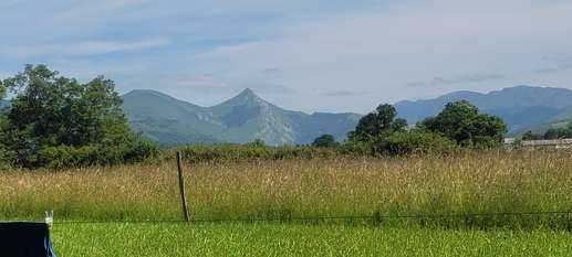 Added a photo to a location