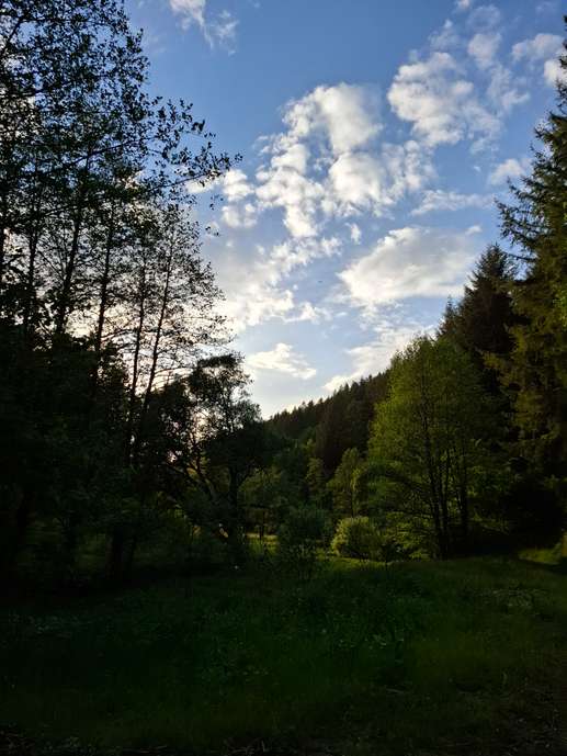 Een foto toegevoegd aan een locatie