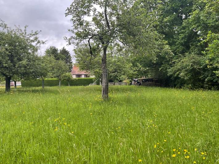 Les Cigognes 