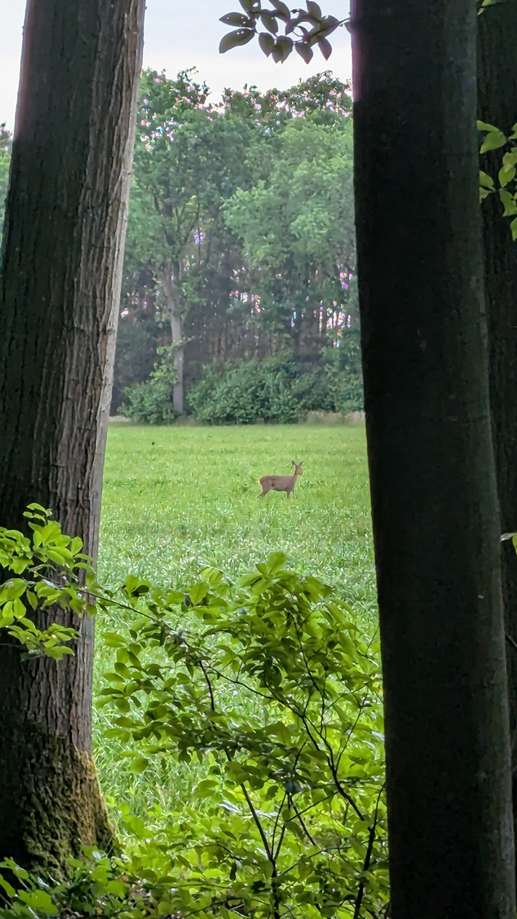 Added a photo to a location