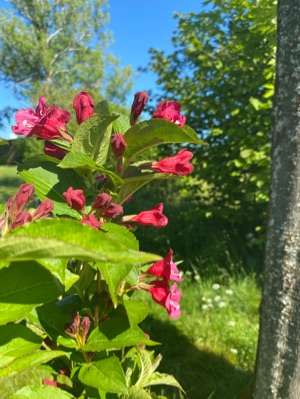 Added a photo to a location