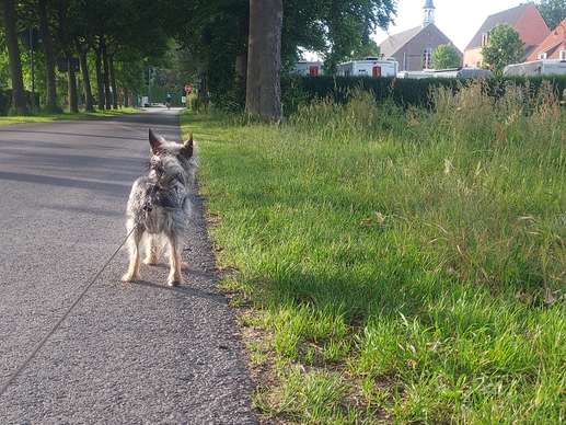 Een foto toegevoegd aan een locatie