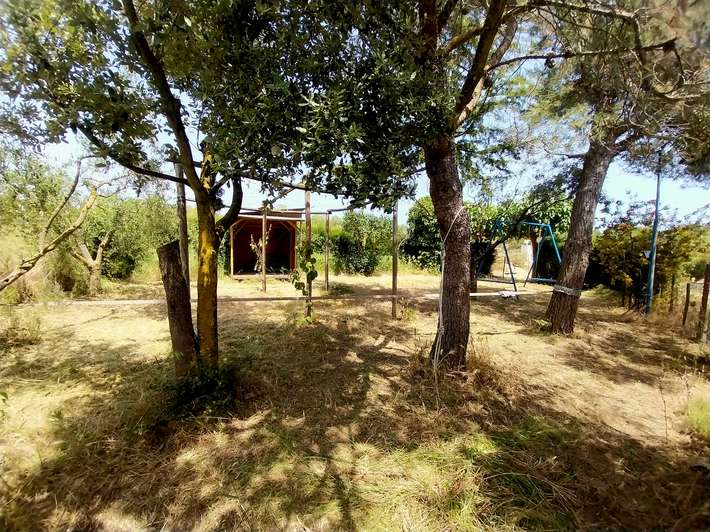 Masía La Granja