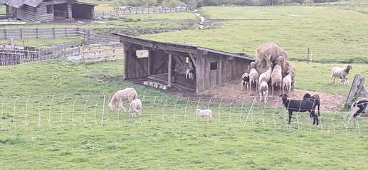Een foto toegevoegd aan een locatie